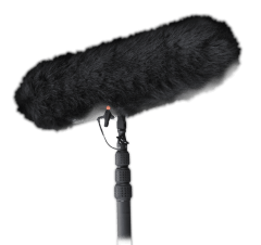 Microphone Placeholder