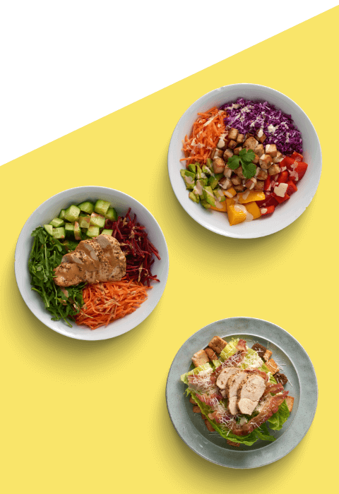 Three bowls of fresh veggies and chicken