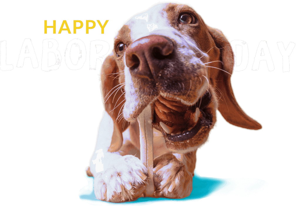 Labor Day Pet Food Banner