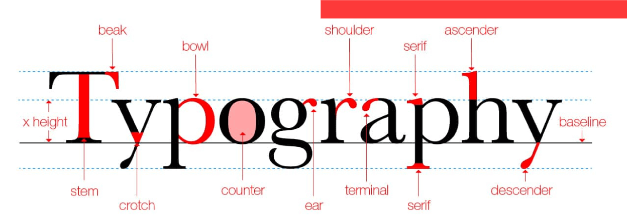 Typography Image