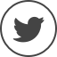 GLASS™ Twitter